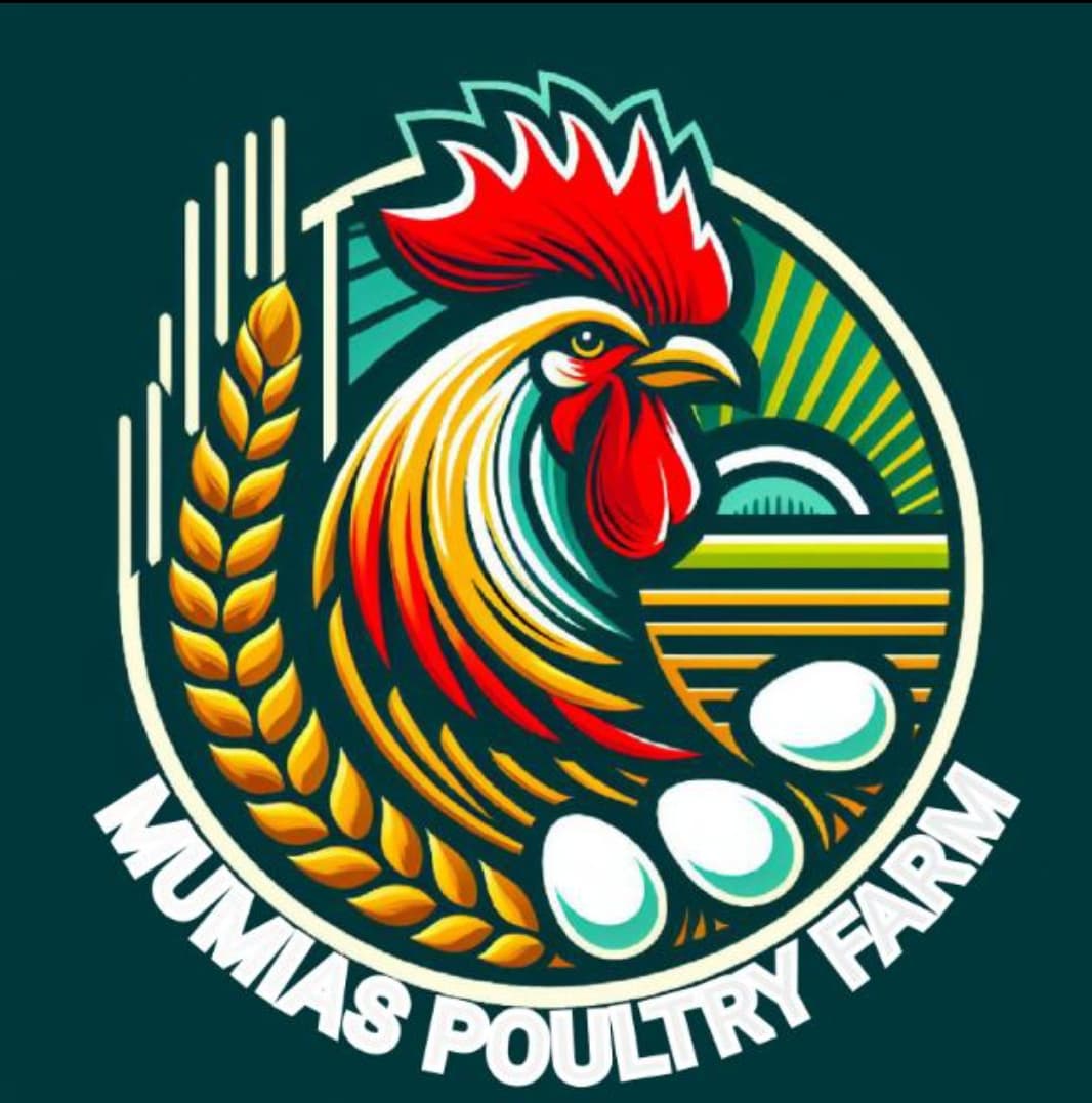 Mumias Poultry Farm 